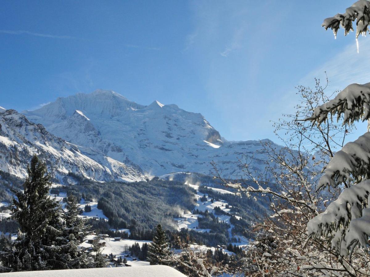 Apartment Tschingelhorn By Interhome Wengen Extérieur photo